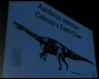 Spesies Baru Dinosaurus Ditemukan