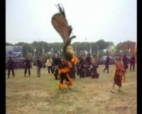 Reog dan Barongsai di HUT ke-64 Brimob