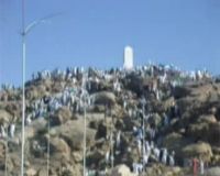 Ribuan Calhaj Penuhi Jabal Rahmah  