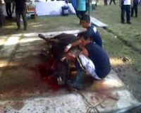 Yayasan Ya Ibad Sembelih 31 Sapi