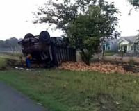 Truk Muatan Kelapa Terbalik di Tol Bunder