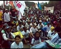 Tarian Papua di Hari HAM Sedunia