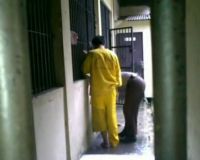 Polisi Ringkus Pencuri Motor Besenjata Api