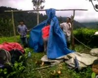 Mengungsi di Tengah Kebun Teh