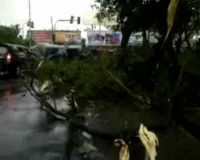 Hujan dan Angin Kencang Landa Surabaya