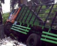 Truk Fuso Tabrak Pohon Palm Truk Fuso Tabrak Pohon Palm