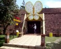 Bermain Sambil Belajar di Taman Kupu-kupu