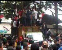 Pedagang Unggas Kembali Demo DPRD Jakarta