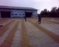 Bulog Jabar Targetkan Serap 450 Ribu Ton Beras