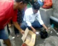 Bayi Laki-laki Dibuang Dekat Ponpes