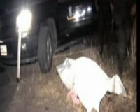 Penyerangan Bersenjata di Meksiko, 4 Tewas