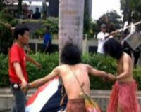 Walhi Selamatkan Pohon di KPK