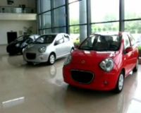 Melihat Kelahiran Panda