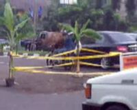 Warga Tanam Pohon di Jalan Rusak Warga Tanam Pohon di Jalan Rusak