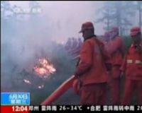 Kebakaran Hutan di Pegunungan Hingga