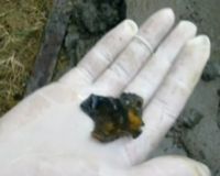 Tengkorak Manusia di Perumahan Pakuwon