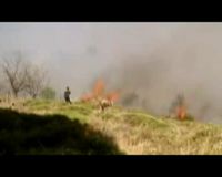 Kebakaran Lahan di Athena Meluas