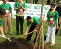 Honda Hijaukan Tebet