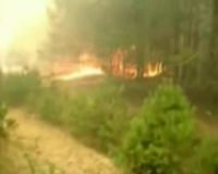 Kebakaran Hebat Landa 7 Wilayah di Rusia