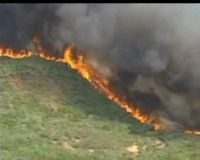 Kebakaran Hutan di Portugal Semakin Meluas