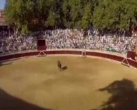 Banteng Serang Tribun Penonton, 40 Luka