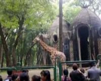 Ribuan Warga Mulai Serbu Ragunan