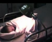 Bayi Baru Lahir Ditemukan di Pesawat