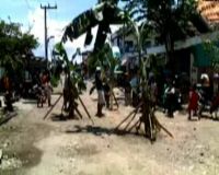Protes Jalan Rusak, Warga Tanam Pohon Pisang