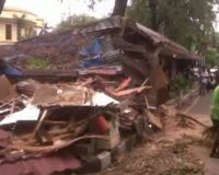 Pohon Tumbang Timpa Kios dan Taxi