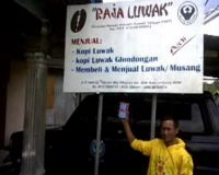 Pesona Kopi Luwak yang Menjadi Buah Bibir