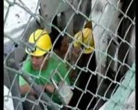 Kecelakaan Pertambangan di Ekuador