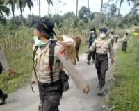 Hewan Ternak di Merapi Dievakuasi