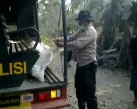 Tim SAR Kembali Temukan 1 Korban Merapi