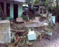 Luapan Sungai Beringin Sapu Ratusan Rumah 