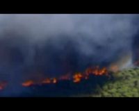 205 Hektar Lahan Terbakar di Australia