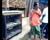 Ular Piton di Kali Ciliwung-Manggarai 
