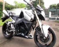 Raja Harimau Tiger B-King