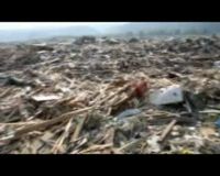 Wajah Jepang Pasca Tsunami 3 Hari Lalu