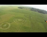Crop Circle Ditemukan di Cikarang 