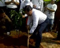 10 Ribu Pohon Ditanam di Kelurahan Setu Jaktim 
