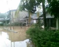 Puluhan Rumah di Pondok Labu Terendam Banjir