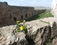 Qalat Al Hisn, Pertahanan Perang Salib