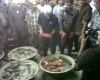 Hatta Inspeksi ke Pasar Ikan