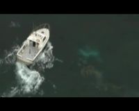 Pesawat Ringan Jatuh ke Laut