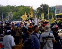 Petani Meminta Hentikan Import Kentang