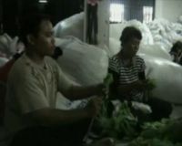 Produksi Sedikit, Karena Pesan Mendadak