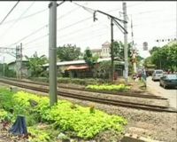 Hilangnya Taman Bintaro