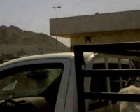 Pasar Kambing Kaqiyah di Makkah