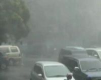 Hujan Sebabkan Banjir dan Pohon Tumbang