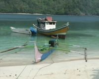 Pulau Kiluan, Habitat Lumba-lumba yang Alami